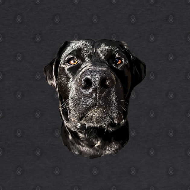 Labrador Retriever Black Dog by ElegantCat